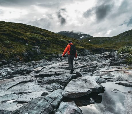 Travel like the local do, into the wild. Photo: Lukas Zischke