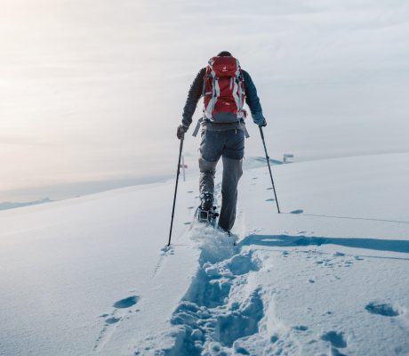 Join us on a bigfoot adventure! Photo: Joris Meier