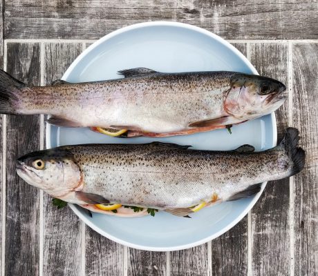 Trout ready to go on the grill. Photo Gregor Moser